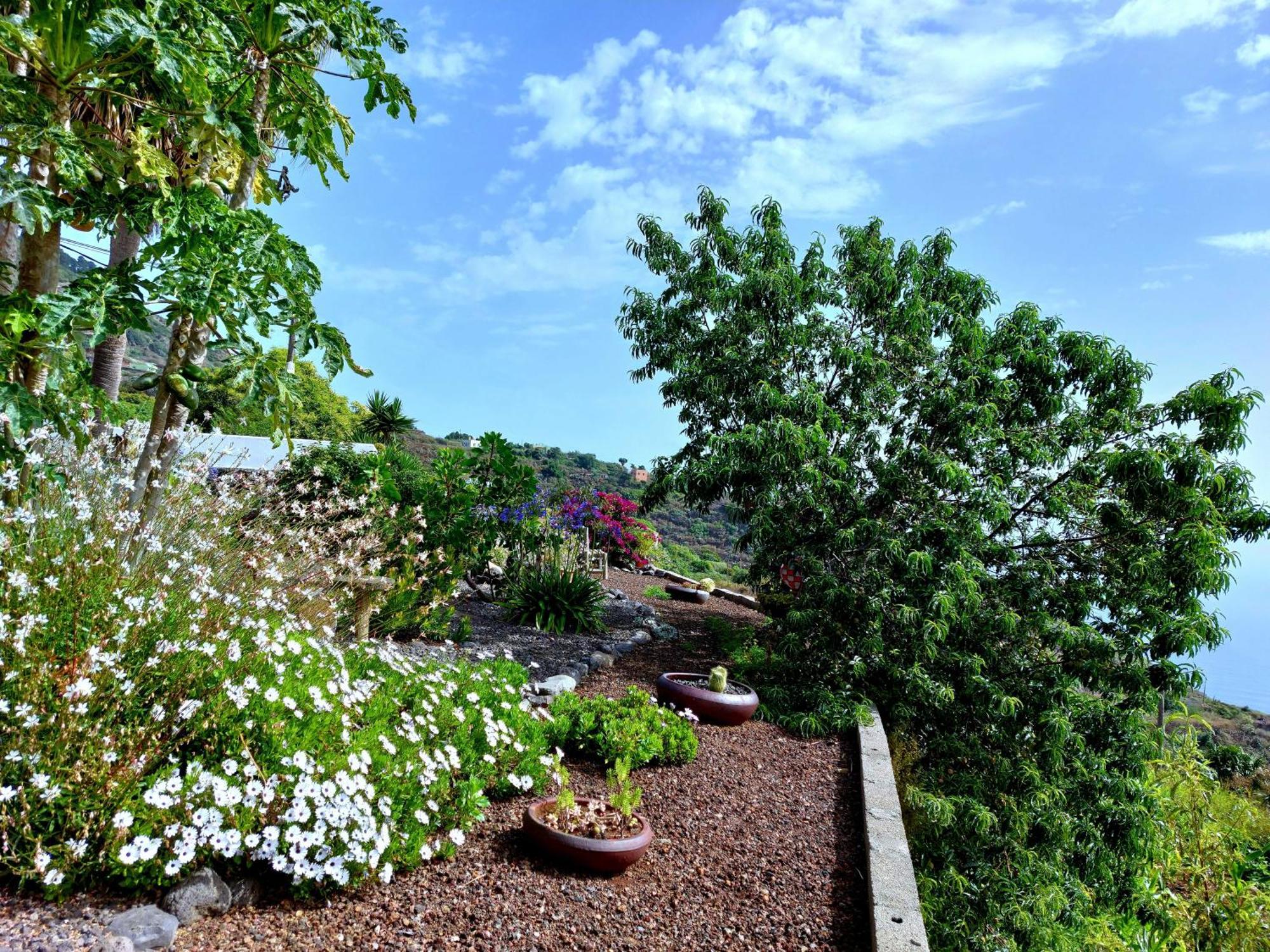 Eloina Villa Barlovento Exterior photo